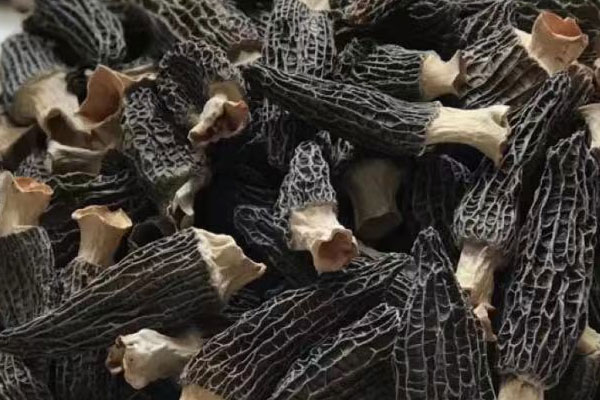 羊肚菌云吞的做法竅門(mén) 羊肚菌云吞的做法竅門(mén)