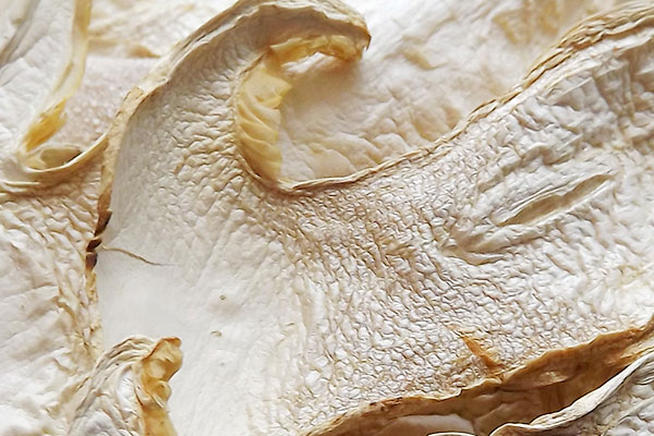 干松茸吃多了好嗎，松茸干太老了能不能吃