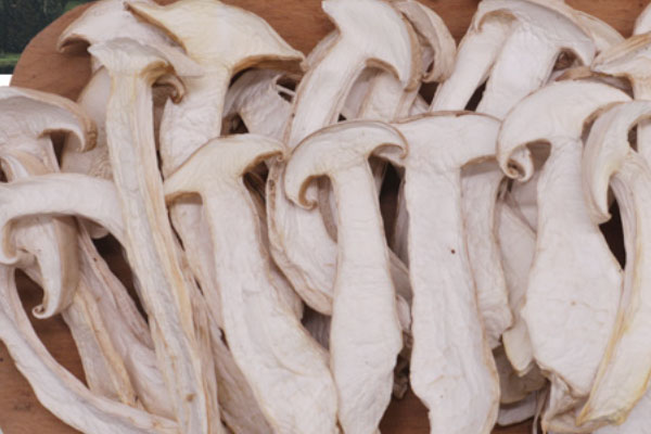 松茸干太老了能吃嗎 松茸干太老了能吃嗎