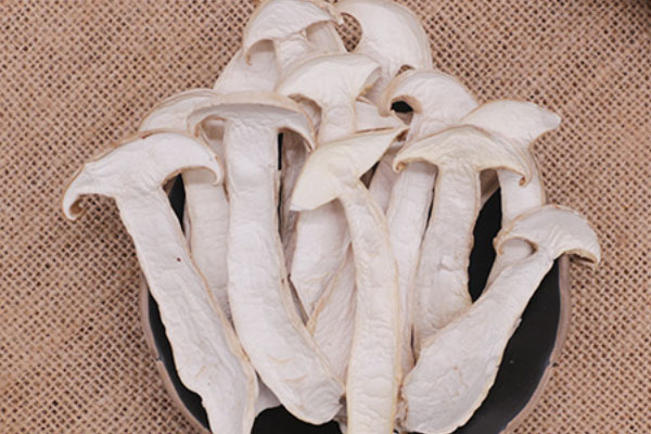 松茸干能直接吃嗎，松茸根部可以吃嗎