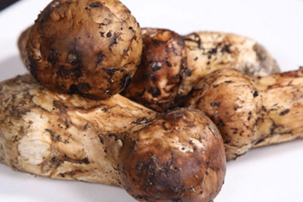 松茸搭配魚怎么吃 松茸搭配魚怎么吃