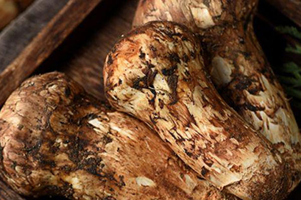 松茸是洗干凈了冷藏嗎，松茸要切片還是整個(gè)燉湯