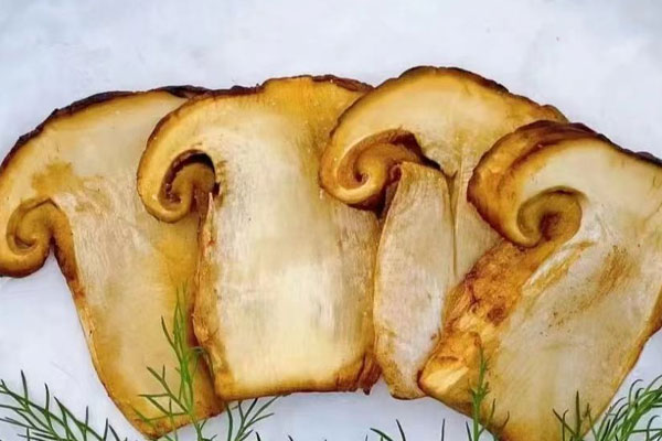 橄欖油可以熬松茸油嗎，用橄欖油煎松茸幾分鐘好