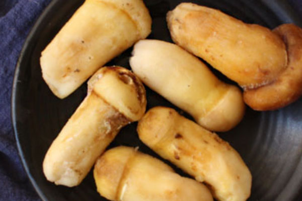 松茸速凍的方法 松茸速凍的方法