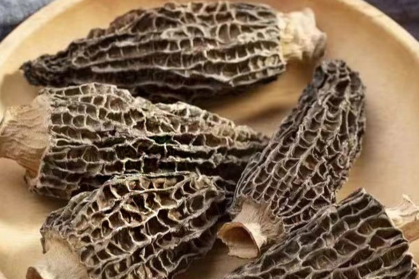 羊肚菌沙蟲排骨粥的功效作用 羊肚菌沙蟲排骨粥的功效作用