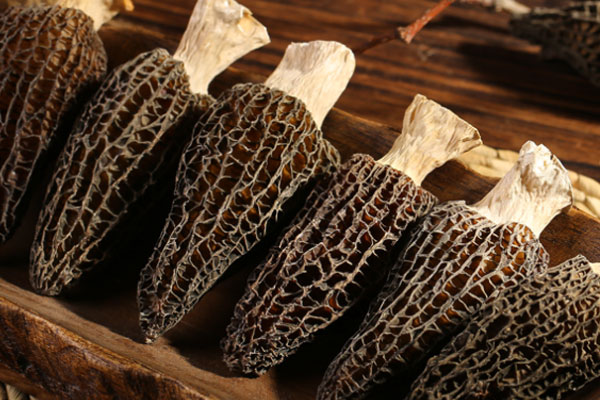 羊肚菌沙蟲排骨粥的食用禁忌 羊肚菌沙蟲排骨粥的食用禁忌