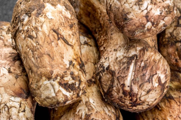 松茸紅蝦青瓜沙拉的食用禁忌 松茸紅蝦青瓜沙拉的食用禁忌