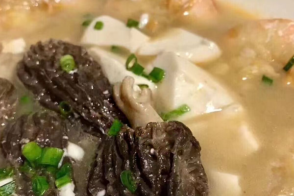 羊肚菌豆腐鮮蝦湯的功效作用 羊肚菌豆腐鮮蝦湯的功效作用