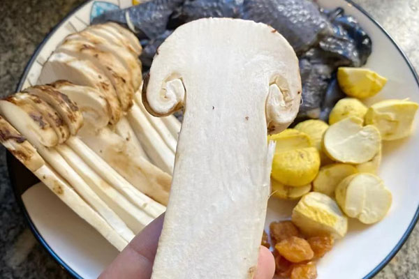 松茸板栗烏雞湯的食用禁忌 松茸板栗烏雞湯的食用禁忌