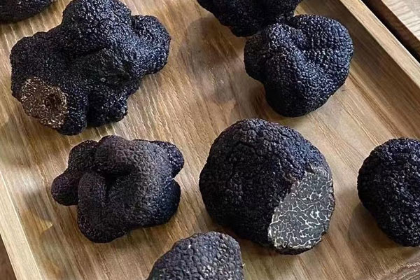 黑松露是菌類嗎，黑松露的味道和什么很像