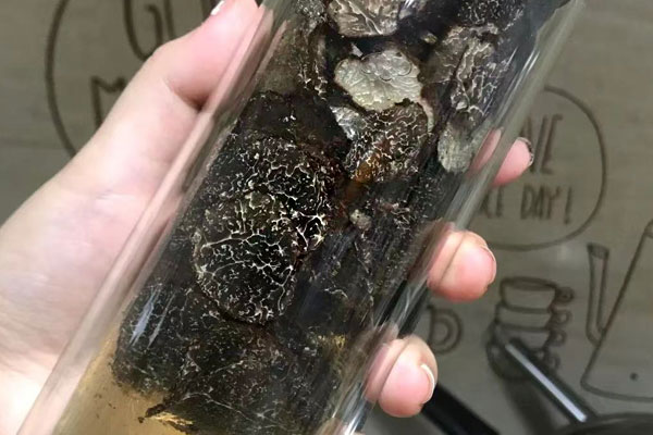 泡過酒的塊菌還可以吃嗎，塊菌小孩能吃嗎