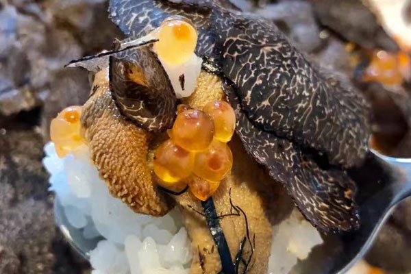 黑松露的三種吃法 黑松露的三種吃法