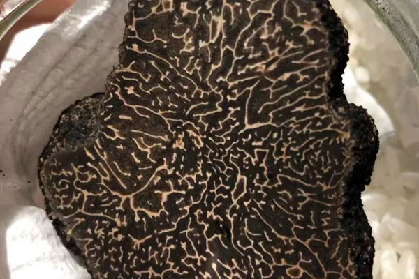 黑松露吞拿魚握壽司的食用禁忌 黑松露吞拿魚握壽司的食用禁忌