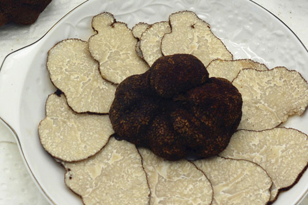 黑松露有哪些別稱 黑松露有哪些別稱