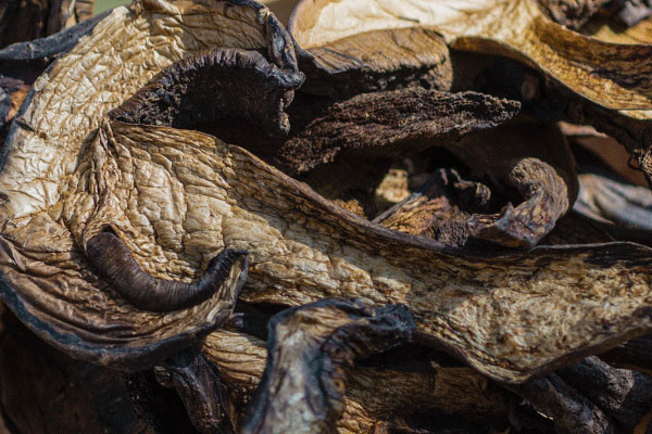 黑牛肝菌干蝦湯的功效作用 黑牛肝菌干蝦湯的功效作用