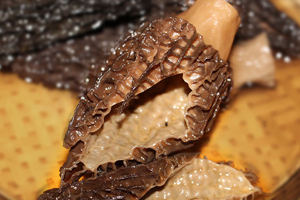 羊肚菌海底椰核桃湯的營養(yǎng)價值 羊肚菌海底椰核桃湯的營養(yǎng)價值