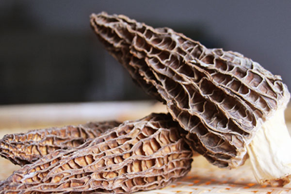 羊肚菌海底椰核桃湯的食用禁忌 羊肚菌海底椰核桃湯的食用禁忌