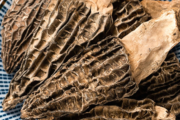 羊肚菌燴魚肚的功效作用 羊肚菌燴魚肚的功效作用