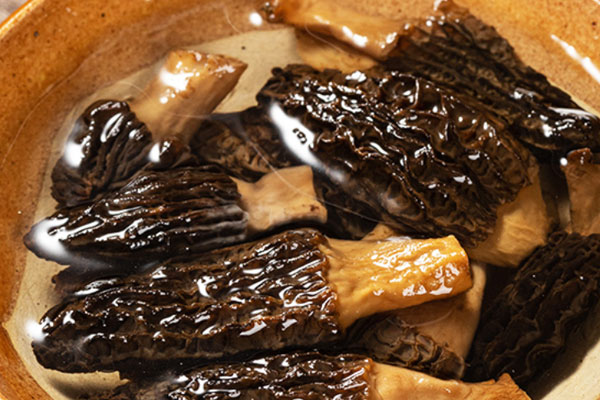 羊肚菌燴魚肚的食用禁忌 羊肚菌燴魚肚的食用禁忌