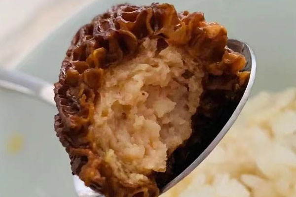 羊肚菌能預(yù)防感冒嗎 羊肚菌能預(yù)防感冒嗎