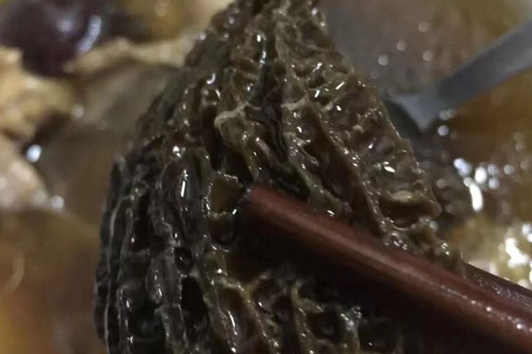 胃不好可以喝羊肚菌湯嗎 胃不好可以喝羊肚菌湯嗎