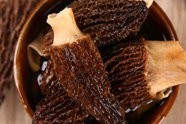 羊肚菌什么部位不能吃，羊肚菌老人可以吃嗎