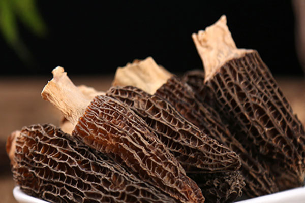 羊肚菌適合老人吃嗎 羊肚菌適合老人吃嗎