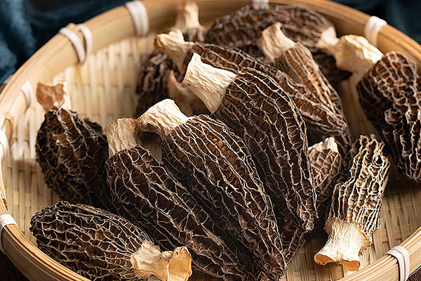 羊肚菌的外形和環(huán)境有關(guān)嗎 羊肚菌的外形和環(huán)境有關(guān)嗎