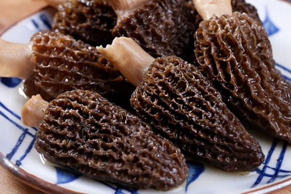 羊肚菌可以抗抑郁嗎 羊肚菌可以抗抑郁嗎