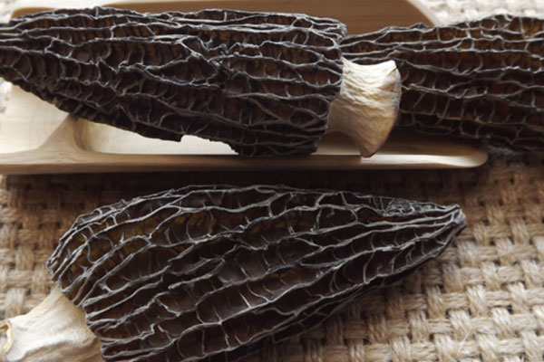 中國的羊肚菌文化 中國的羊肚菌文化