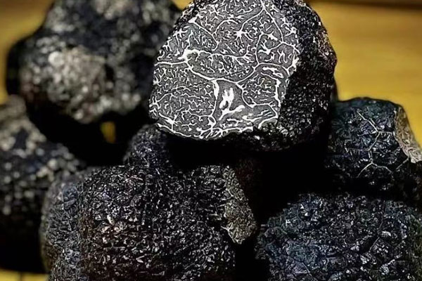 松露的第一份文字記載 松露的第一份文字記載