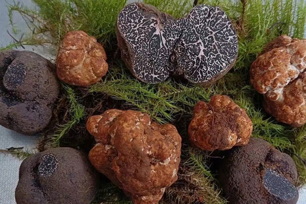 松露在西餐中怎么吃 松露在西餐中怎么吃