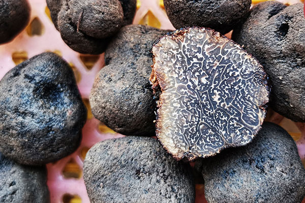 黑松露蒸油面筋的營(yíng)養(yǎng)價(jià)值 黑松露蒸油面筋的營(yíng)養(yǎng)價(jià)值