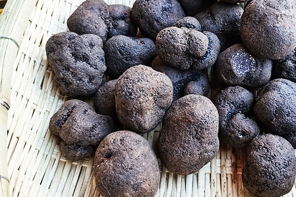 黑松露八爪魚(yú)湯的功效作用 黑松露八爪魚(yú)湯的功效作用