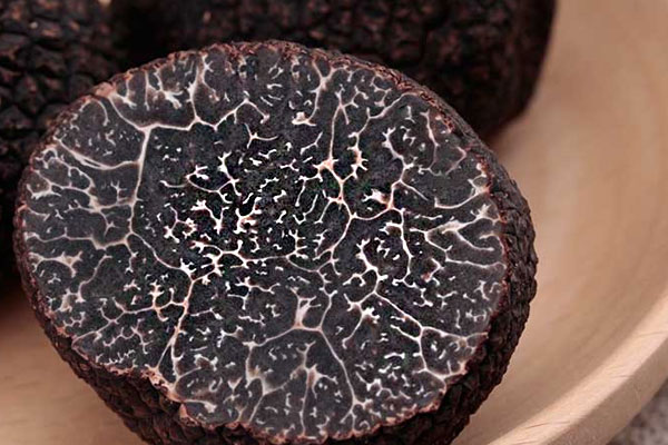 黑松露八爪魚(yú)湯的食用禁忌 黑松露八爪魚(yú)湯的食用禁忌