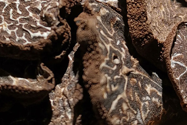 黑松露雞肉燉魚翅的營(yíng)養(yǎng)價(jià)值 黑松露雞肉燉魚翅的營(yíng)養(yǎng)價(jià)值