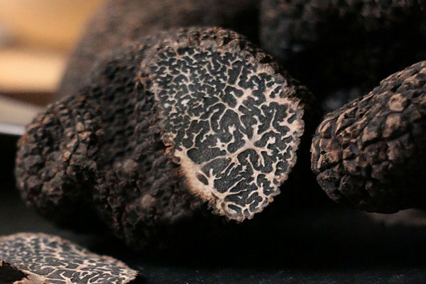 黑松露清蒸石斑魚的功效作用 黑松露清蒸石斑魚的功效作用