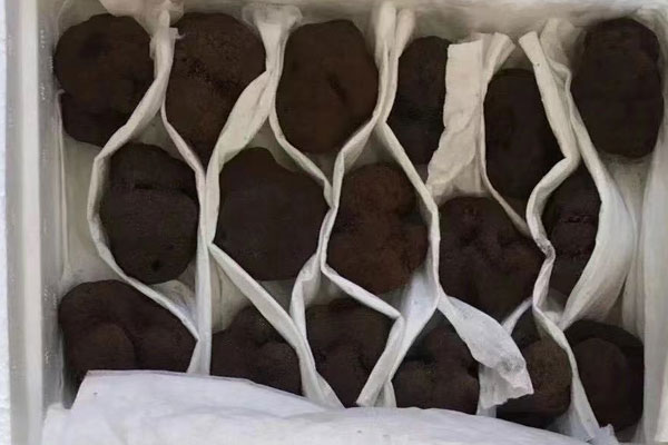 黑松露海馬鮑魚(yú)湯的功效作用 黑松露海馬鮑魚(yú)湯的功效作用