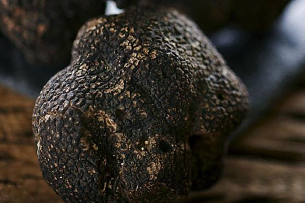 黑松露燜山藥的營(yíng)養(yǎng)價(jià)值 黑松露燜山藥的營(yíng)養(yǎng)價(jià)值