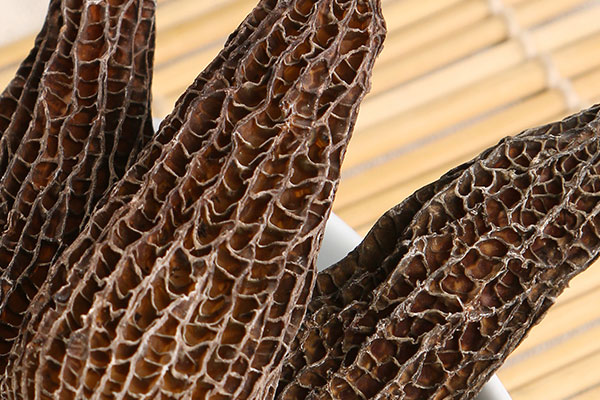 羊肚菌花菇小米粥的食用禁忌 羊肚菌花菇小米粥的食用禁忌