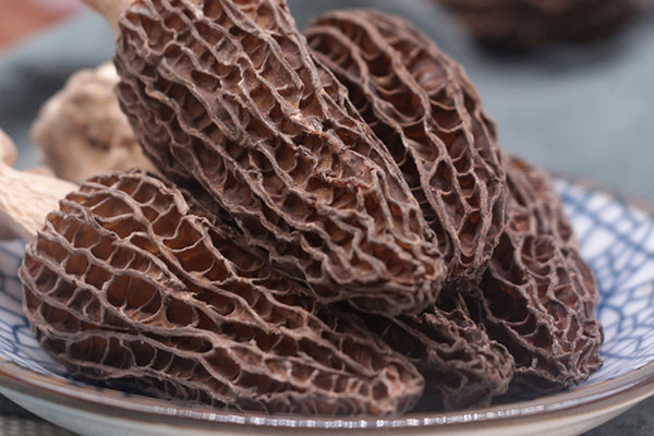 羊肚菌干貝娃娃菜湯的功效作用 羊肚菌干貝娃娃菜湯的功效作用