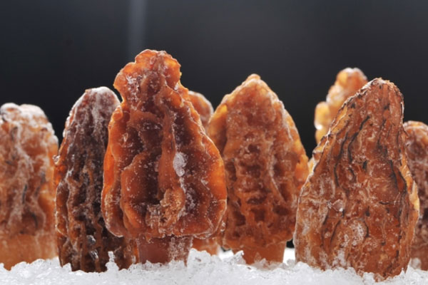 羊肚菌腐竹黨參湯的食用禁忌 羊肚菌腐竹黨參湯的食用禁忌