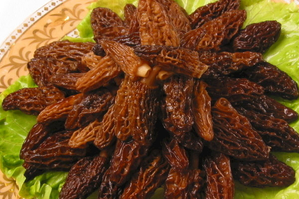 羊肚菌天麻鴿子湯的食用禁忌 羊肚菌天麻鴿子湯的食用禁忌