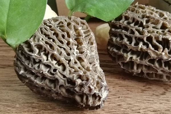 羊肚菌炒北極貝的功效作用 羊肚菌炒北極貝的功效作用