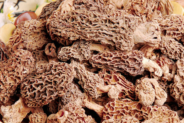 羊肚菌的泡法和食用方法