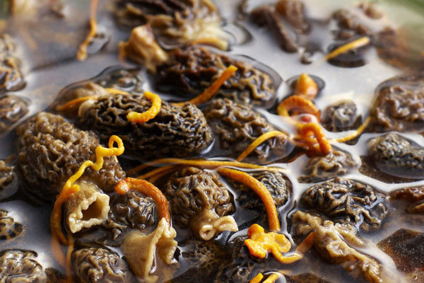 云南人怎么吃羊肚菌，一個(gè)人吃幾個(gè)羊肚菌好