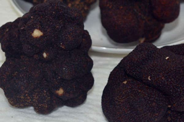 黑松露花甲蒸娃娃菜的功效作用 黑松露花甲蒸娃娃菜的功效作用