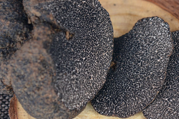 黑松露豆芽炒雞蛋的食用禁忌 黑松露豆芽炒雞蛋的食用禁忌