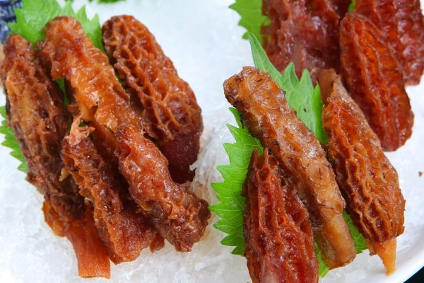 羊肚菌芙蓉蟹的功效作用 羊肚菌芙蓉蟹的功效作用