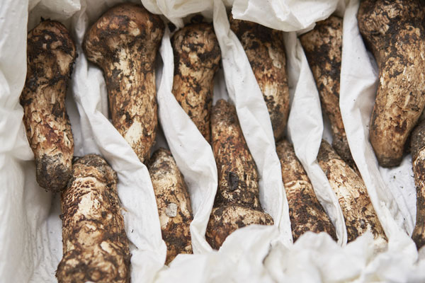 豌豆素炒松茸的營養(yǎng)價值 豌豆素炒松茸的營養(yǎng)價值